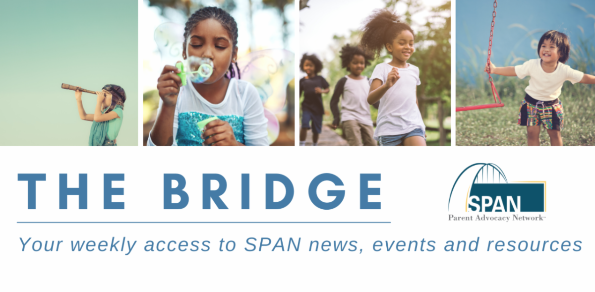 The Bridge Newsletter News You Can Use